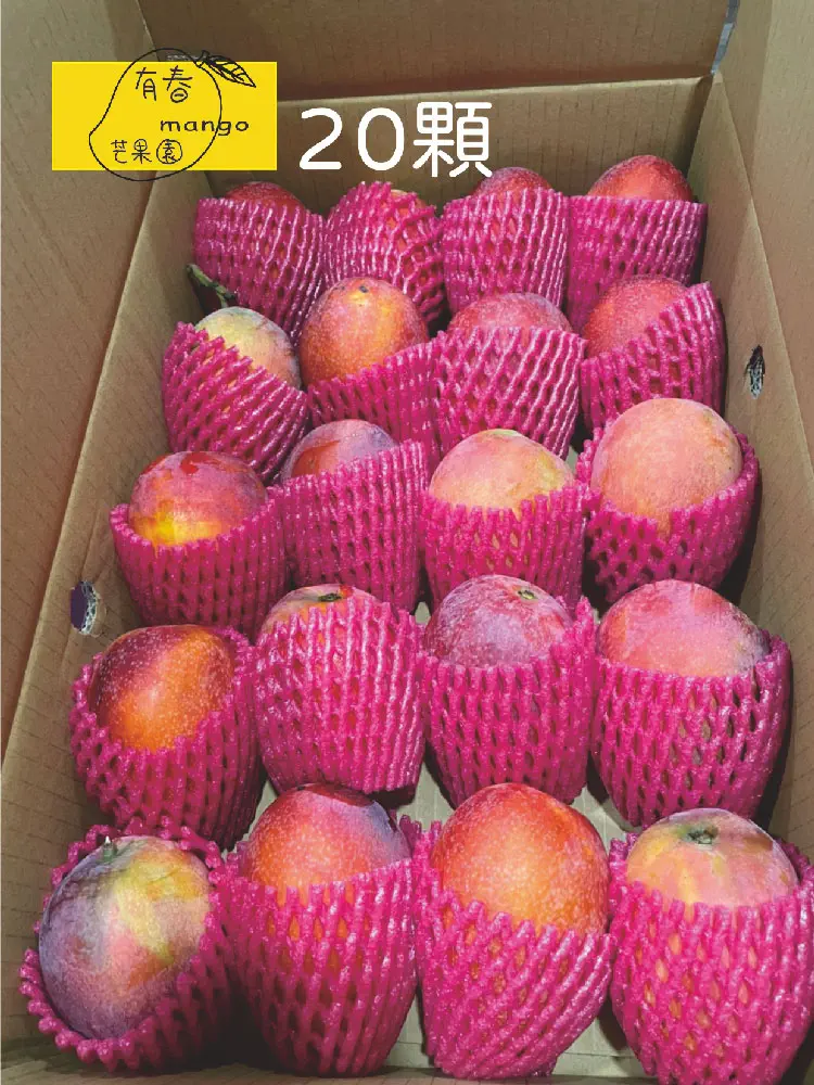 20