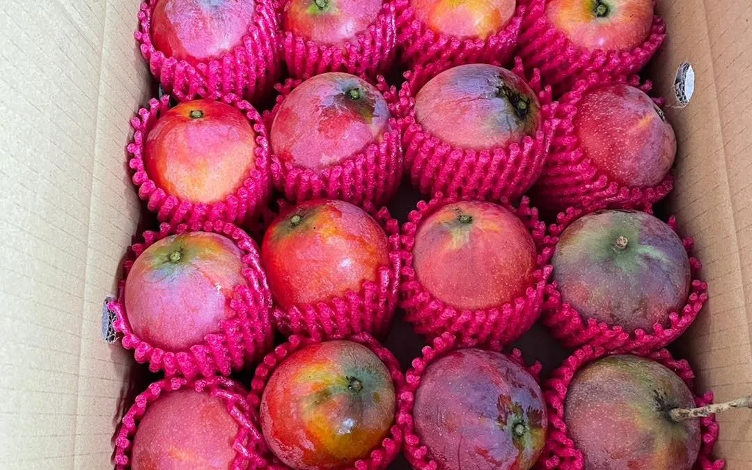 外面下著雨🌧️