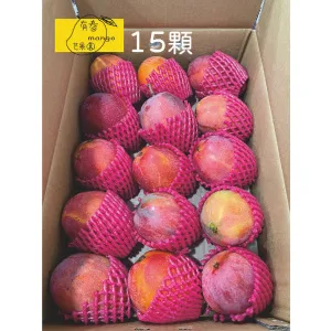 枋山愛文芒果-嚴選寶島級-15顆裝/1箱