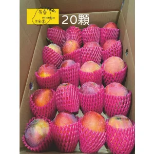 枋山愛文芒果-嚴選寶島級-20顆裝/1箱